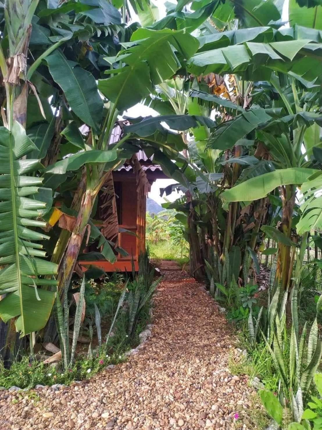 Nana Bungalows Ban Tan Room photo